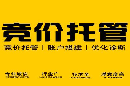 竞价广告的投放策略调整：基于数据反馈的实战案例